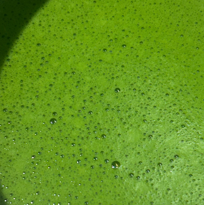 AA Ceremonial Grade Matcha - 30 gram